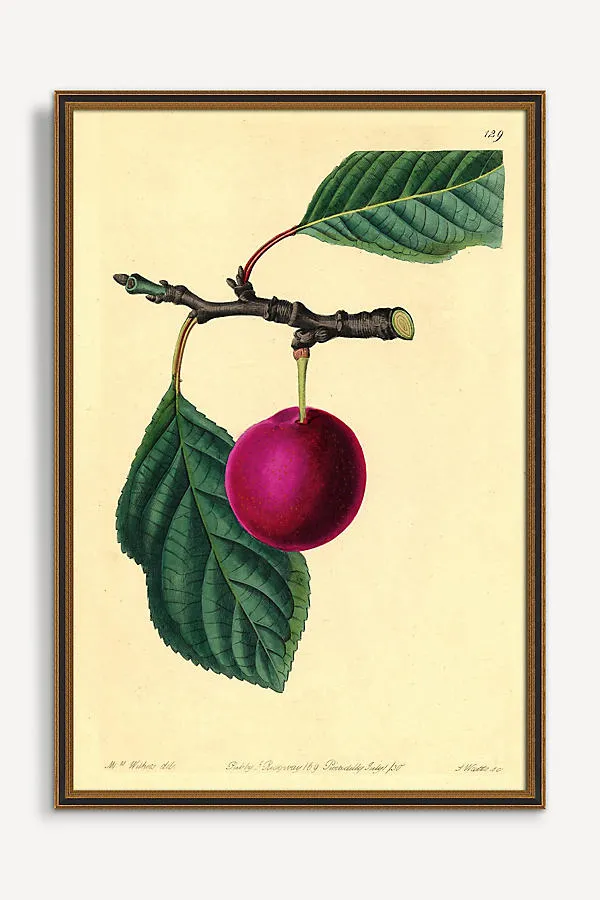 Wyatt Landesmann Cherry Wall Art - Pink product