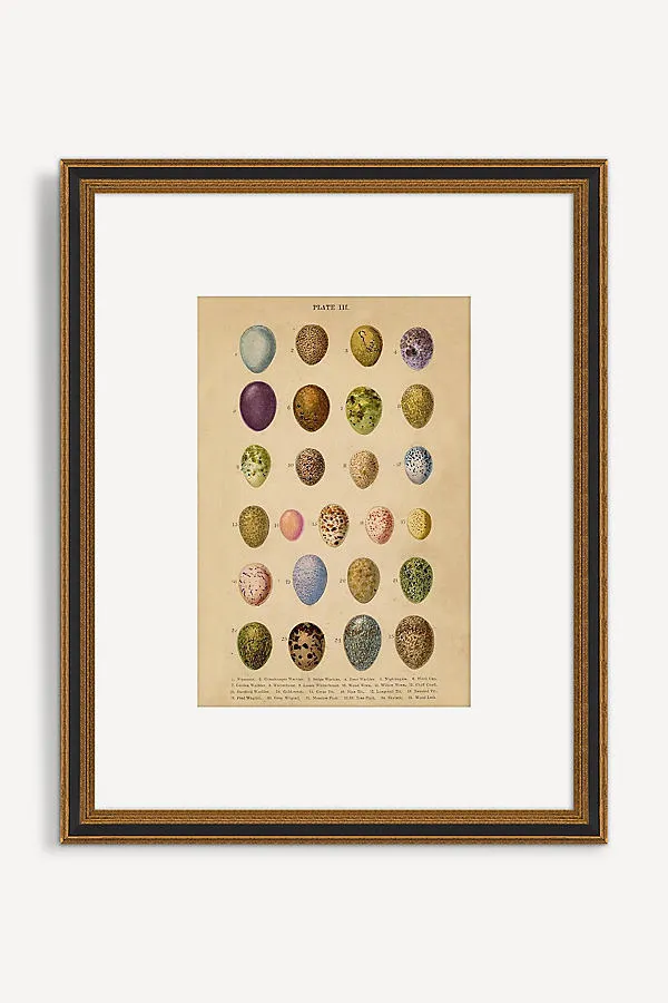 Wyatt Landesmann Eggs Wall Art - Beige product