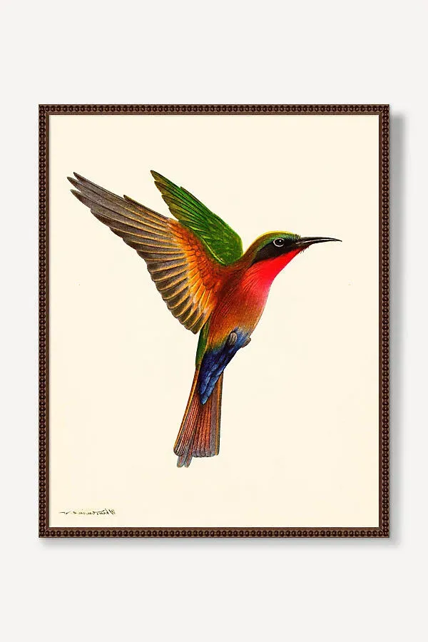 Wyatt Landesmann Hummingbird Wall Art - Orange product