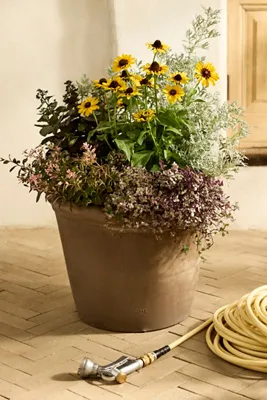 Flora Terracotta Pot - Grey by Anthropologie, image 2