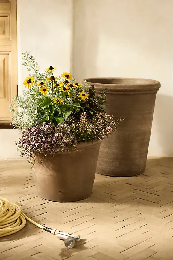Flora Terracotta Pot - Grey by Anthropologie