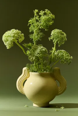 Daphne Ceramic Vase - Gold, Glazed Earthenware product