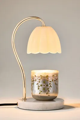 Festive Woody Fresh Balsam & Cedarwood Glass Candle - Small by Anthropologie, alternate view