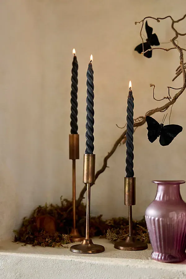 Terrain Twisty Tapers Set of 3 - Black, Beeswax by Anthropologie