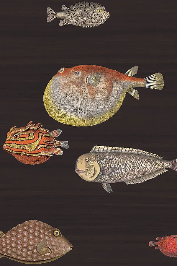 Cole & Son Acquario Ocean Fish Wallpaper - Black product