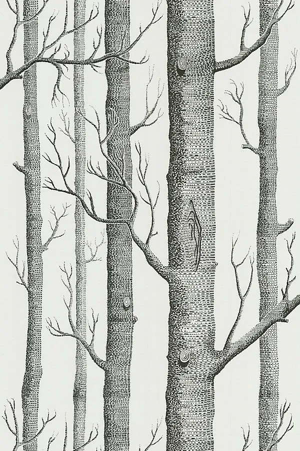 Woods Wallpaper - Grey product