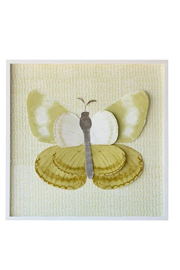 Dimensional Butterfly with Feathers Wall Art - Paper, Wood by Anthropologie, alternate view