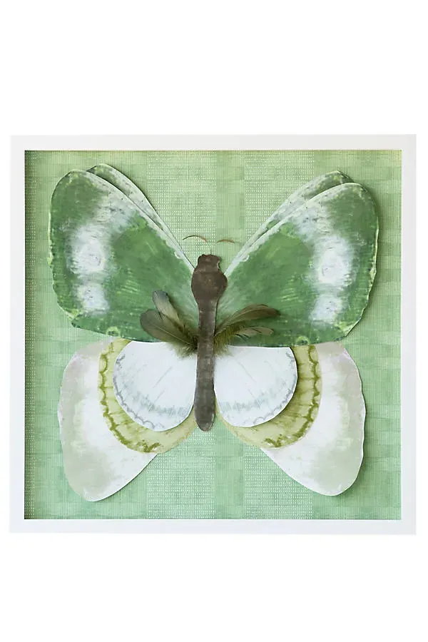 Dimensional Butterfly with Feathers Wall Art - Paper, Wood by Anthropologie