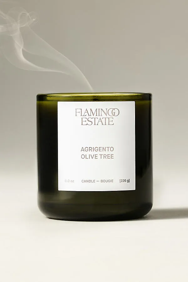 Agrigento Olive Tree Boxed Glass Candle - Green, Cotton by Anthropologie