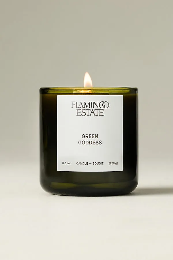 Flamingo Estate Green Goddess Boxed Glass Candle - Fresh Mint by Anthropologie