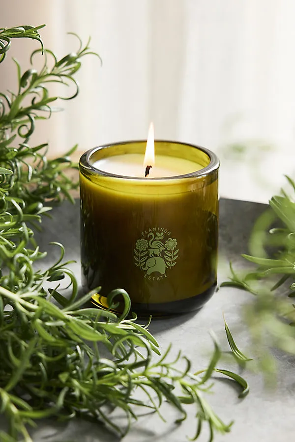Flamingo Estate Olive Tree Scented Candle - Cotton Wick product