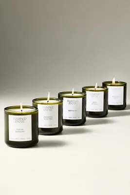 Flamingo Estate Sappho Fig Boxed Glass Candle - Green, Cotton by Anthropologie, image 2