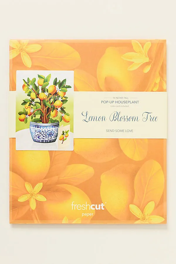FreshCut Paper Pop-Up Bouquet Set - Yellow product