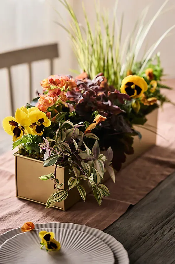 Habit & Form Small Rectangle Trough - Gold, Steel by Anthropologie