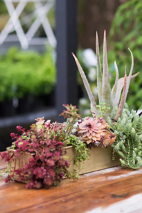 Rectangle Trough Planter - Steel by Anthropologie