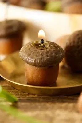 Acorn Beeswax Candles Set of 10 - Natural by Anthropologie, alternate view