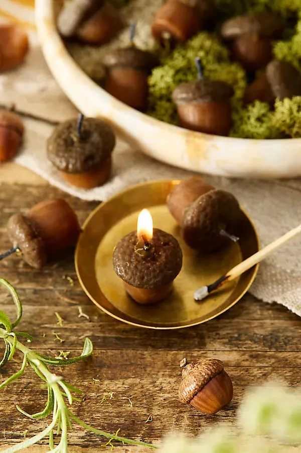 Acorn Beeswax Candles Set of 10 - Natural by Anthropologie