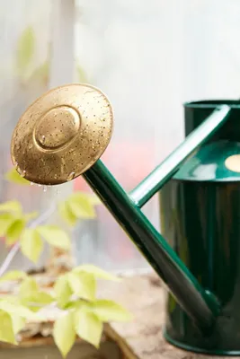 Bearwood Brook Small Watering Can - Galvanized Steel, Brass product