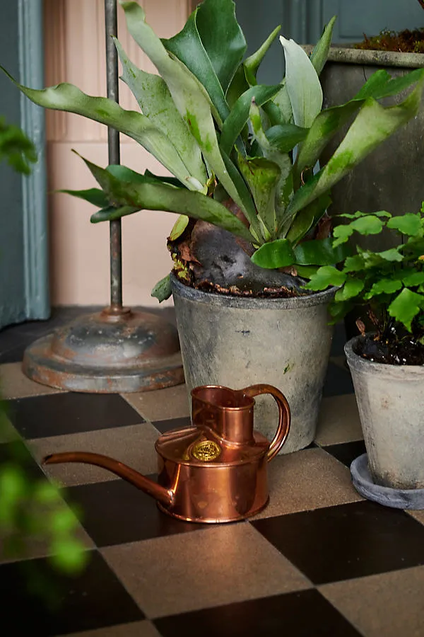 Fazeley Flow Watering Can - Brown, Galvanized Steel by Anthropologie