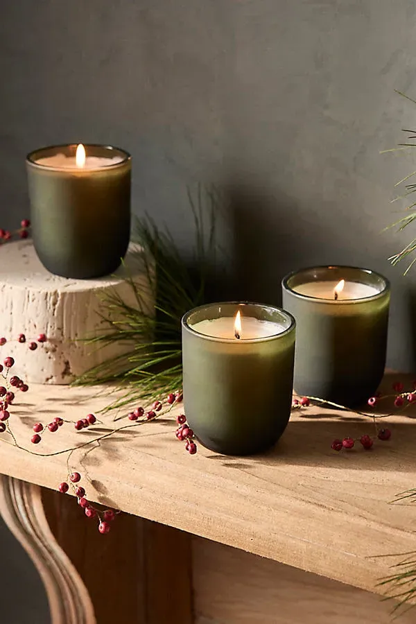 Terrain Winter Scented Candles Set of 3 - Green by Anthropologie