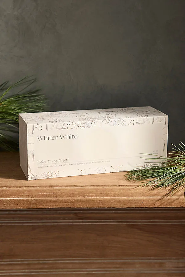 Terrain Winter Scented Candles Set of 3 - White by Anthropologie, image 2