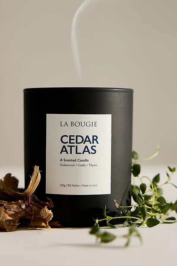 Cedar Atlas Scented Candle - White, Cotton by Anthropologie