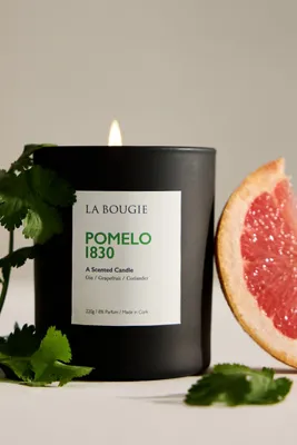 Pomelo 1830 Scented Candle - White, Cotton by Anthropologie, alternate view