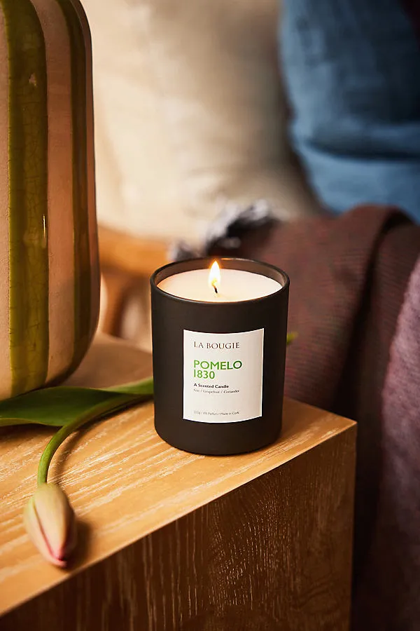 Pomelo 1830 Scented Candle - White, Cotton by Anthropologie