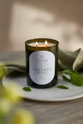 Botanik Crushed Mint Candle - Soy Wax, Recycled Glass by Anthropologie, alternate view