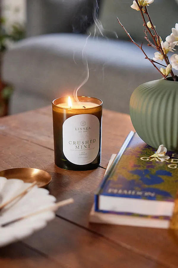 Botanik Crushed Mint Candle - Soy Wax, Recycled Glass by Anthropologie