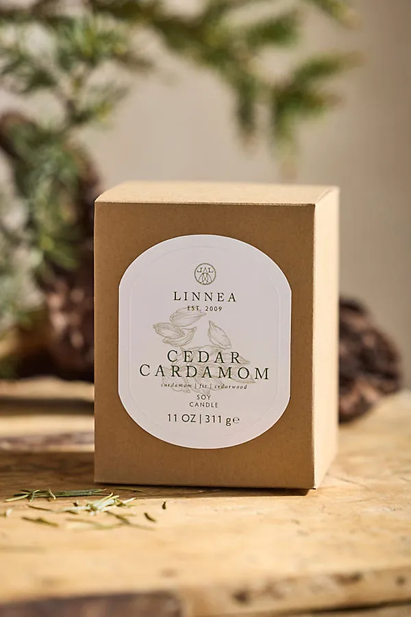 Cedar Cardamom Candle - Soy Wax, Cotton product