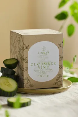 Cucumber Vine Scented Candle - Soy Wax product