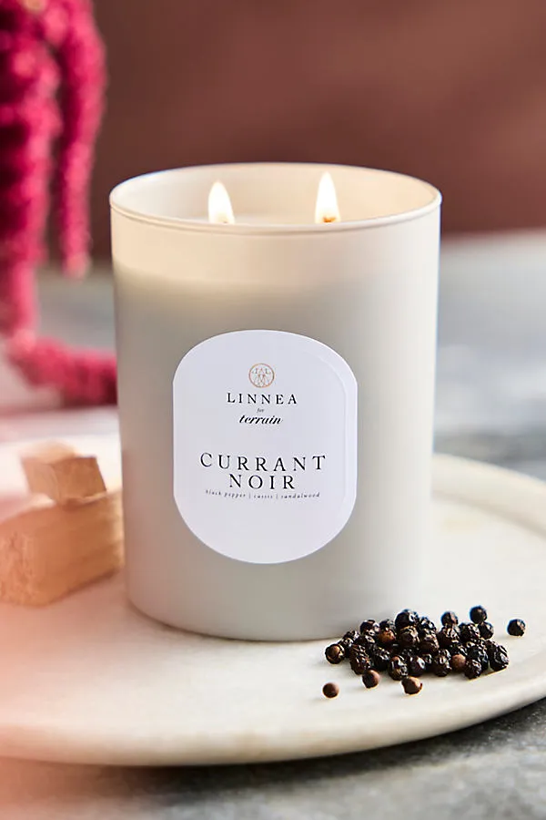 Currant Noir Scented Candle - Soy Wax by Anthropologie