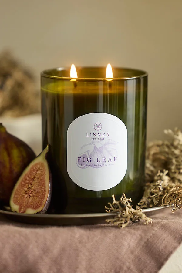 Fig Leaf Scented Candle - Soy Wax, Cotton product