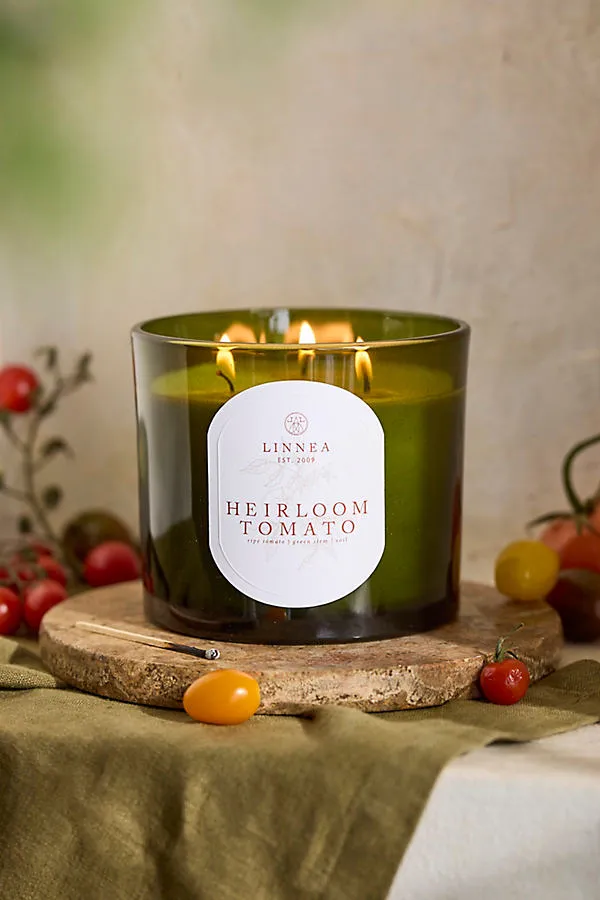 Grande Heirloom Tomato Large Candle - Soy Wax by Anthropologie