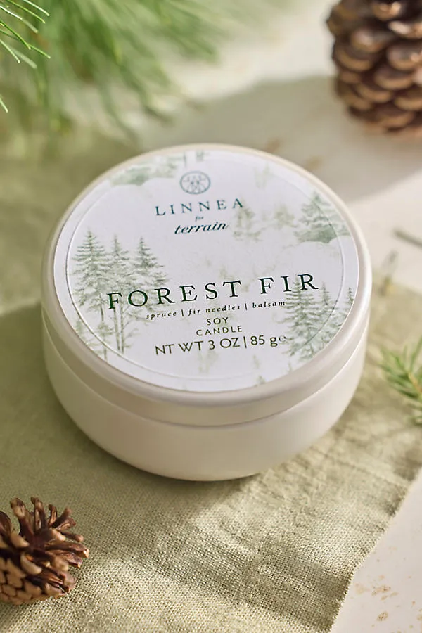 Terrain Forest Fir Petite Tin Candle - Soy Wax by Anthropologie
