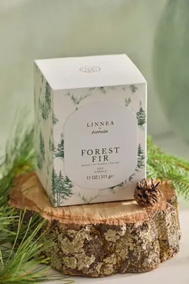 Terrain Forest Fir Soy Wax Candle by Anthropologie, alternate view