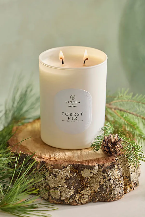 Terrain Forest Fir Soy Wax Candle by Anthropologie