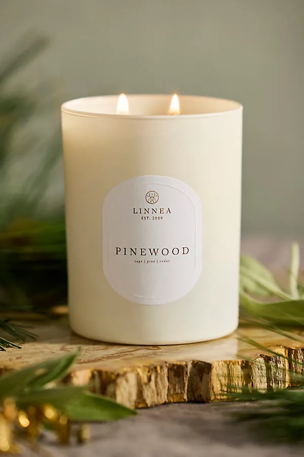 Terrain Pinewood Candle - Soy Wax by Anthropologie