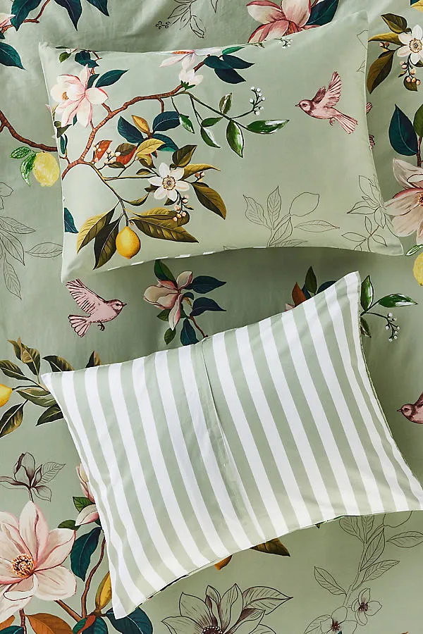 Organic Cotton Printed Sateen Pillowcases, Set of 2 product