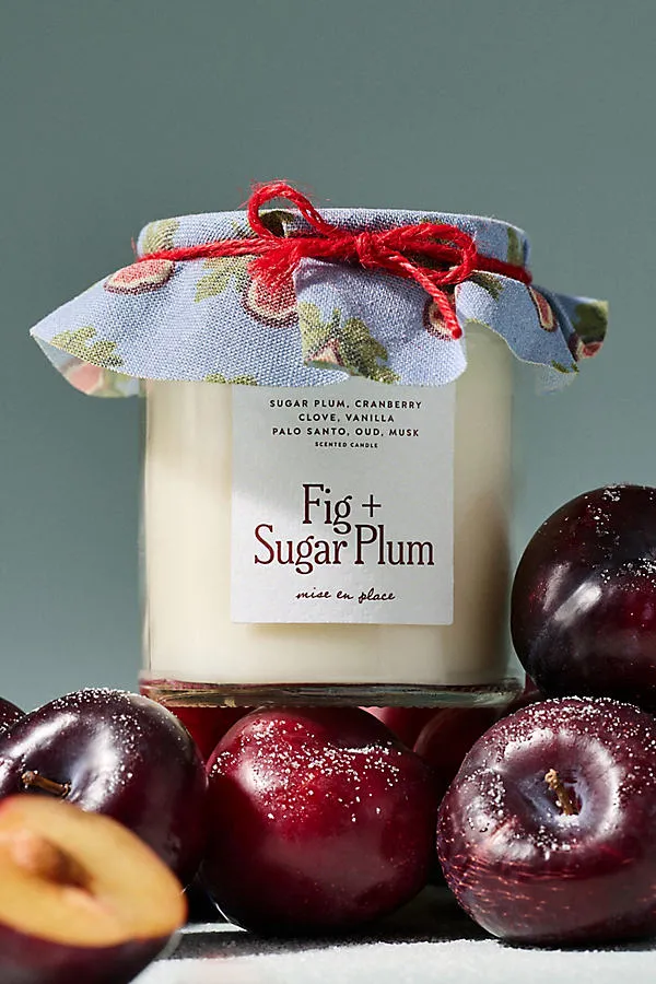 mise en place Fig & Sugar Plum Glass Candle - Small by Anthropologie