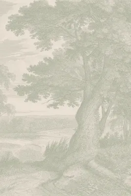 Edge of a Wood Mural Wallpaper - Green product