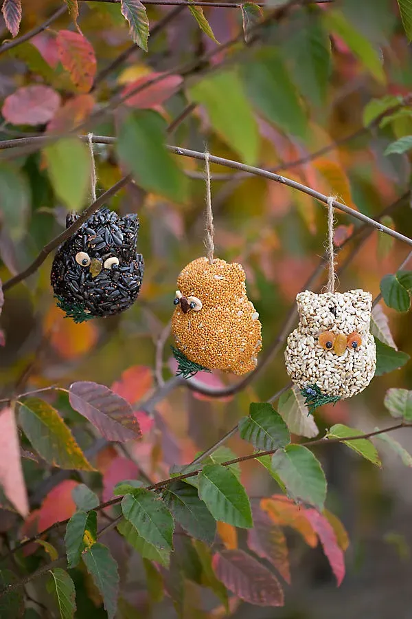 Mr. Bird Bird Seed Owls Set of 3 by Anthropologie