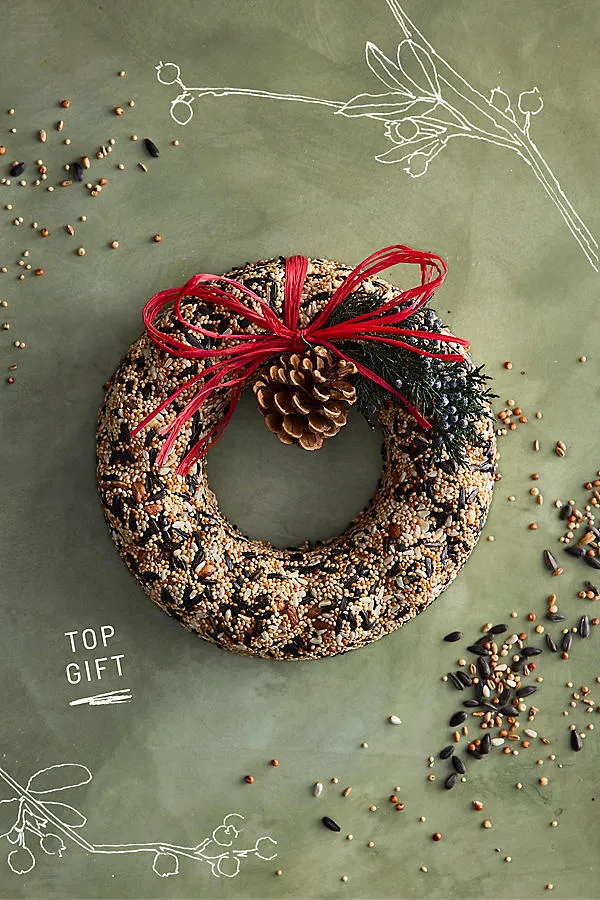 Mr. Bird Terrain Bird Seed Wreath by Anthropologie, alternate view
