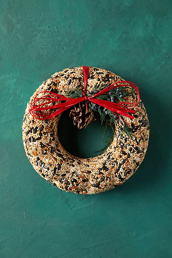 Mr. Bird Terrain Bird Seed Wreath by Anthropologie