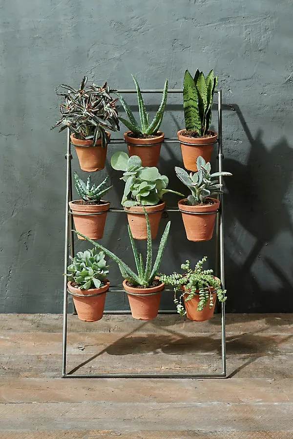 Jara 3-Tier Plant Stand - Brown, Iron product