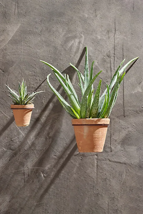 Jara Wall Mounted Planter - Terracotta product