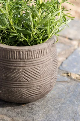 Zadie Etched Ceramic Planter product