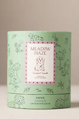 Anthropologie Fresh Meadow Haze Doodle Glass Candle - Green product