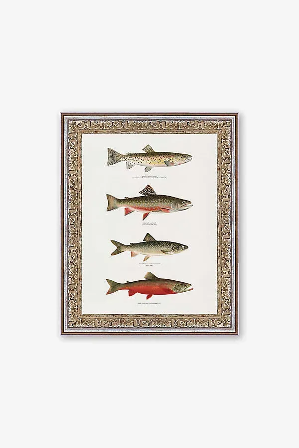 Printed Trouts Wall Art - Canvas, Hardboard product
